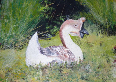 Höckergans vom Gandenhof - Acryl auf Papier - Foto und Bild © Katharina Hansen-Gluschitz