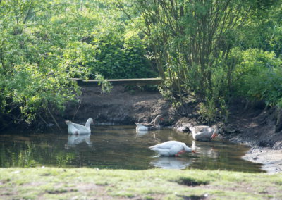 Gemeinschaftsbad - Foto © Katharina Hansen-Gluschitz