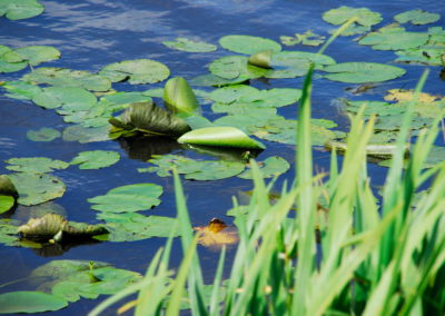 Freizeit am Kanal - Foto © Katharina Hansen-Gluschitz