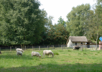 Moormuseum - Foto © Katharina Hansen-Gluschitz