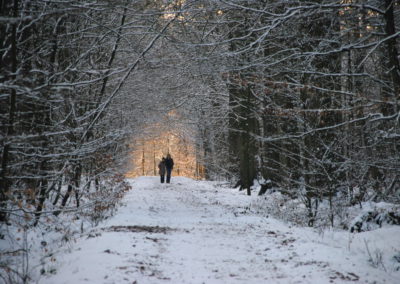 Freizeit im Wald - Foto © Katharina Hansen-Gluschitz