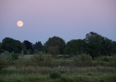 Vollmond über den Feldern - Foto © Katharina Hansen-Gluschitz