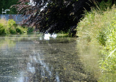 Freizeit am Kanal - Foto © Katharina Hansen-Gluschitz